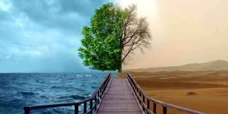 Human Ethics and Environment Protection