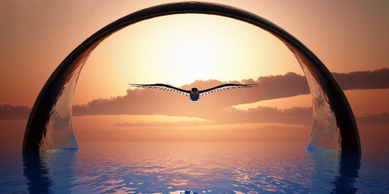 Soaring on Wings of Science and Spirituality