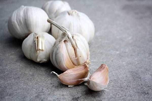 लहसुन के 14 स्वास्थ्य लाभ - 14 Health Benefits of Garlic