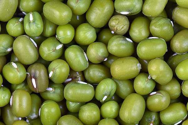 मूंग के 6 स्वास्थ्य लाभ - 6 Health Benefits of Mung Bean