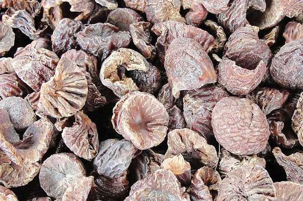 सुपारी के 5 स्वास्थ्य लाभ - 5 Health Benefits of Areca Nut