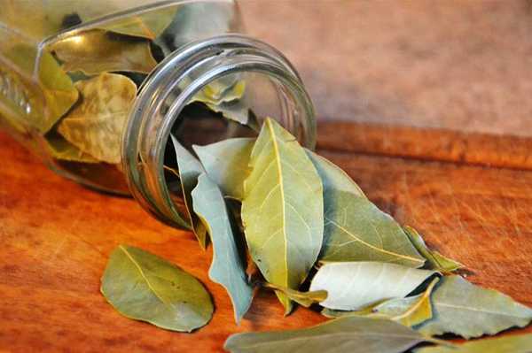 तेजपात के 3 स्वास्थ्य लाभ - 3 Health Benefits of Bay Leaf