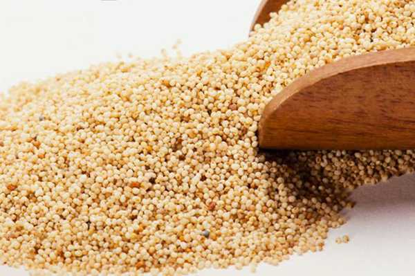 खसखस के 3 स्वास्थ्य लाभ - 3 Health Benefits of Poppy Seed