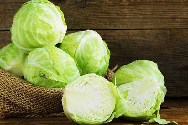 पत्ता गोभी के 8 स्वास्थ्य लाभ - 8 Health Benefits of Cabbage