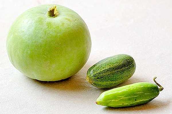 परवल व टिंडे के 4 स्वास्थ्य लाभ - 4 Health Benefits of Pointed Gourd & Tinda