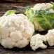 फूल गोभी के 7 स्वास्थ्य लाभ - 7 Health Benefits of Cauliflower