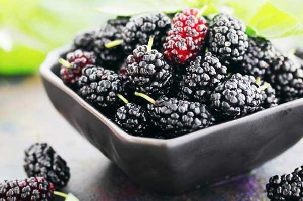 शहतूत के 12 स्वास्थ्य लाभ - 12 Health Benefits of Mulberry