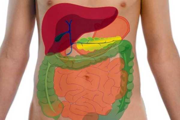 पेट के कीड़े का 27 घरेलु उपचार - 27 Homemade Remedies for Intestinal Worms
