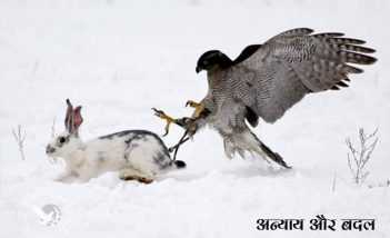 अन्याय और बदला