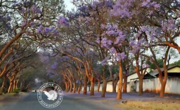 बदसूरती काम आई