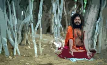 प्यार के बदले प्यार