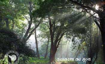 वृद्धावस्था का मूल्य